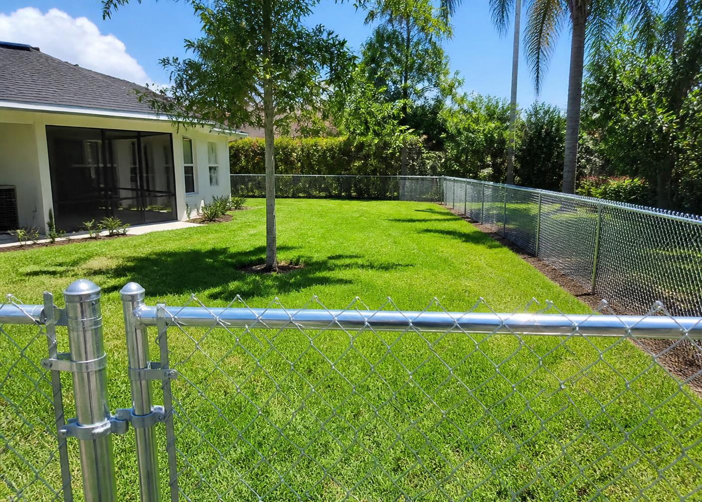 Galvanized chain link fence around a Florida backyard