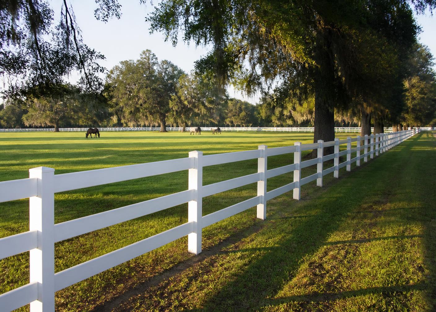 Four-rail ranch fence along a Marion County horse pasture